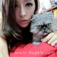 爱人一男一女抱猫头像图片