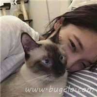 爱人一男一女抱猫头像图片