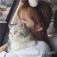 爱人一男一女抱猫头像图片