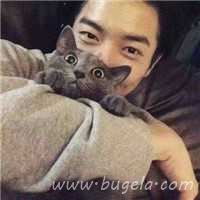 爱人一男一女抱猫头像图片