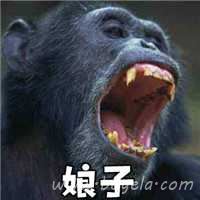 超级幽默的娘子啊哈伴侣头像图片