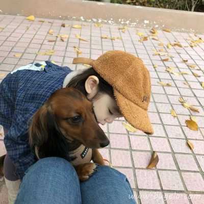 乖巧的最新萌娃爱人头像图片