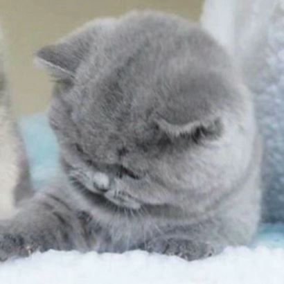 情侣头像第五人格一男一女  头像情侣图片