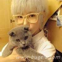 爱人一男一女抱猫头像图片
