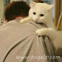 爱人一男一女抱猫头像图片