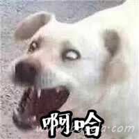 超级幽默的娘子啊哈伴侣头像图片