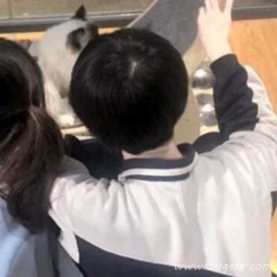 漂亮的情头双人超甜ins风头像图片