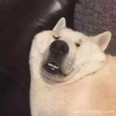 沙雕又可人的情人头像图片