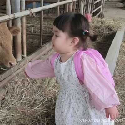 不是人的罗熙情头头像图片