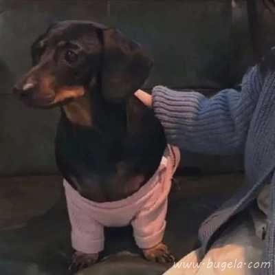 一左一右的情头诙谐可人小众头像图片