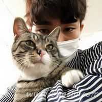 爱人一男一女抱猫头像图片