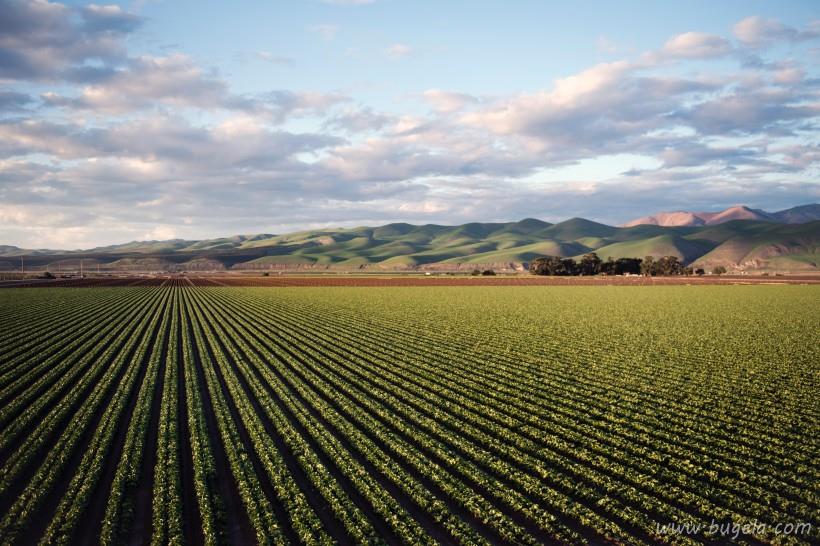 好看辽阔的农田图片大全