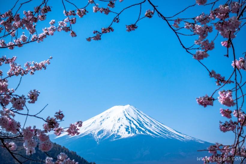 漂亮的日本富士山自然风景图片大全