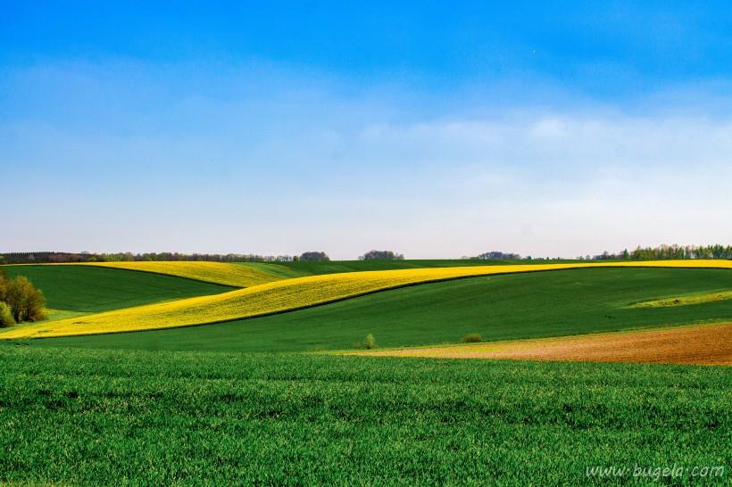 好看辽阔的农田图片大全