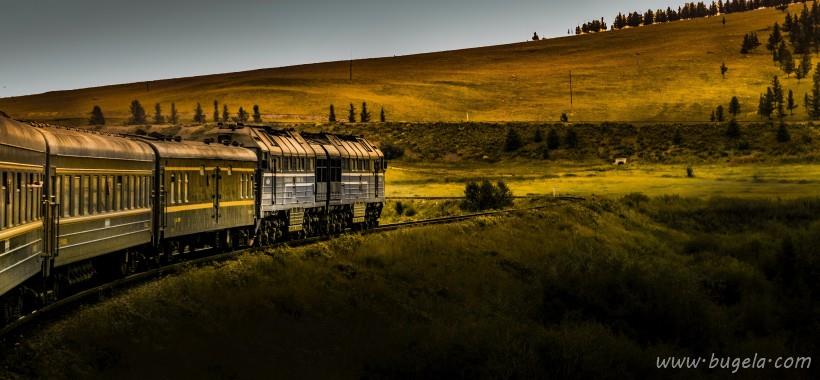 漂亮的绿色一望无际的草甸风景图片大全