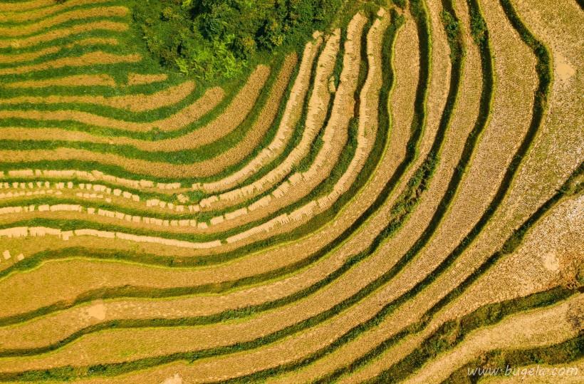 唯美高低分明富有层次的梯田风景图片大全