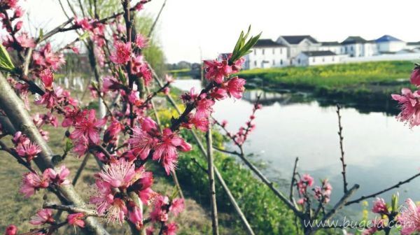意境小清新风景大全图片