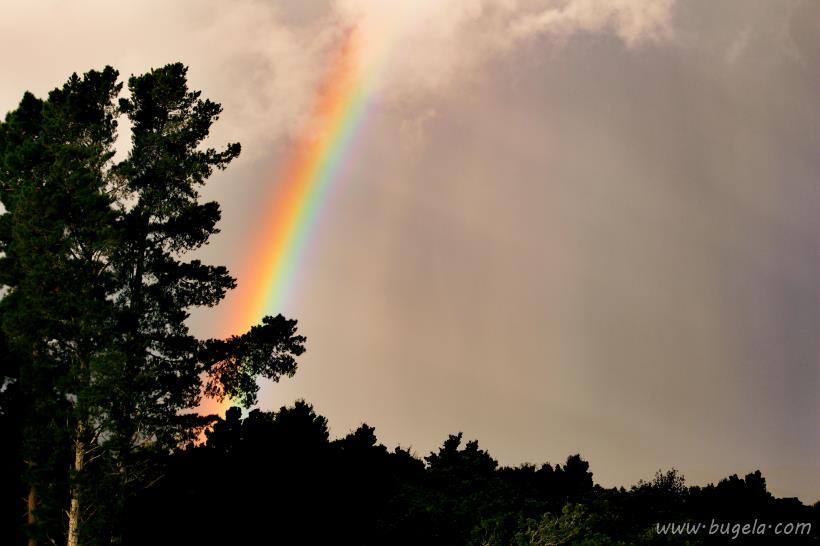 漂亮的天空中绚丽的彩虹风景图片大全