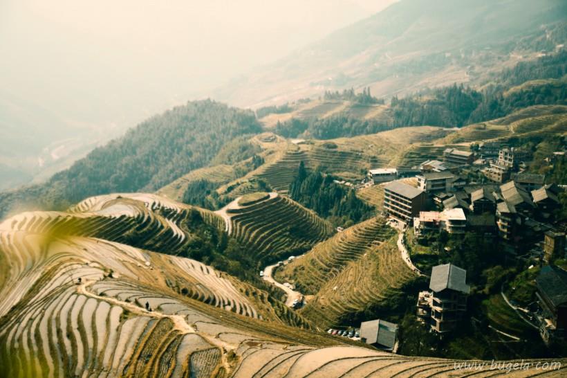 唯美高低分明富有层次的梯田风景图片大全