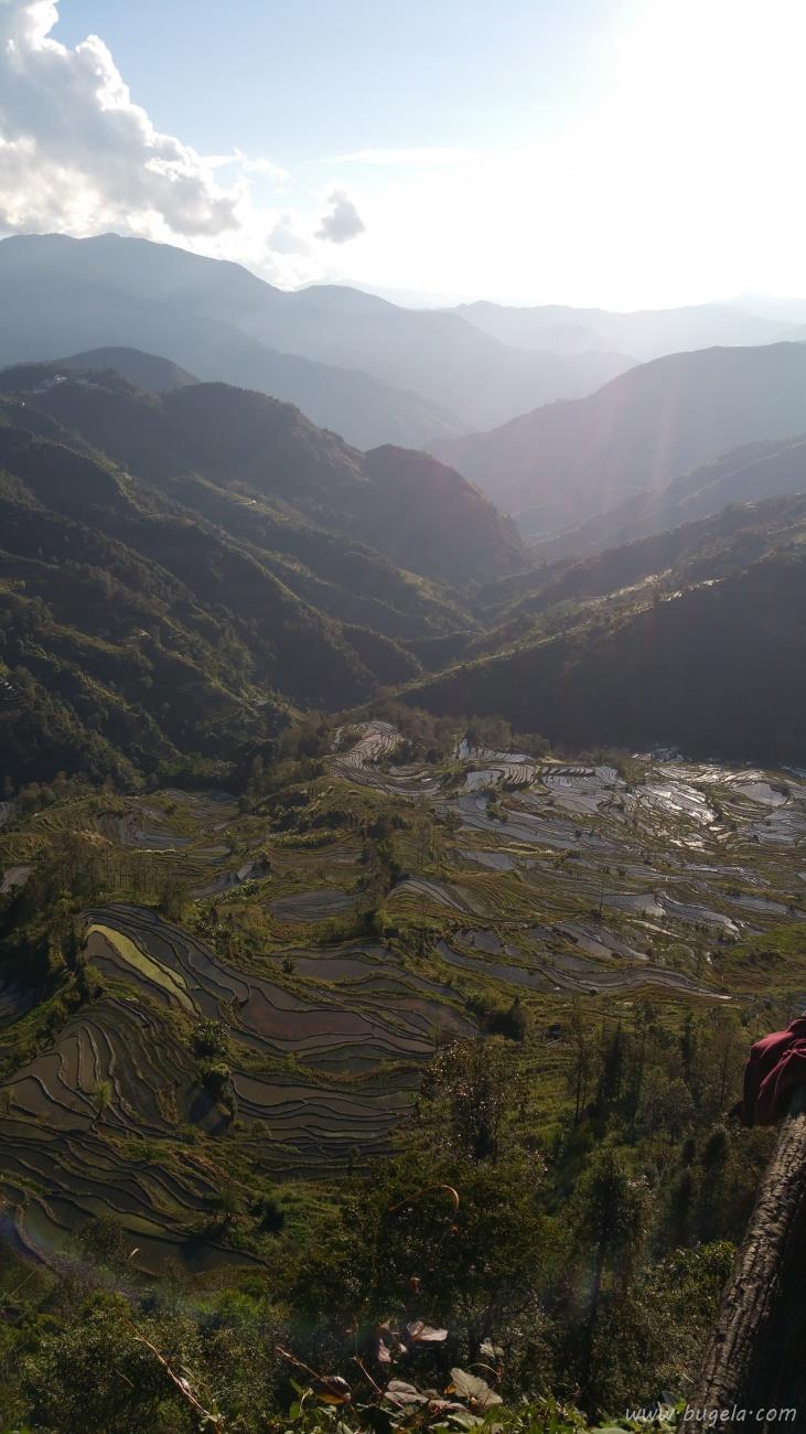 超美层层叠叠的绿色梯田风景图片大全