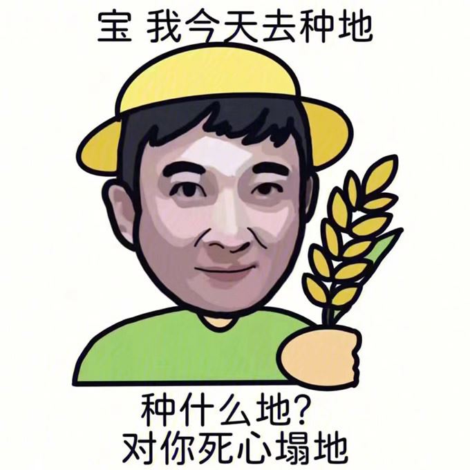 王思聪头像图片