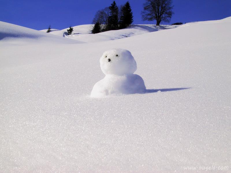 超美冬季雪人图片大全