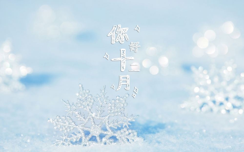 十二月鹅毛大雪美丽的户外大自然风景带文字电脑桌面壁纸图片