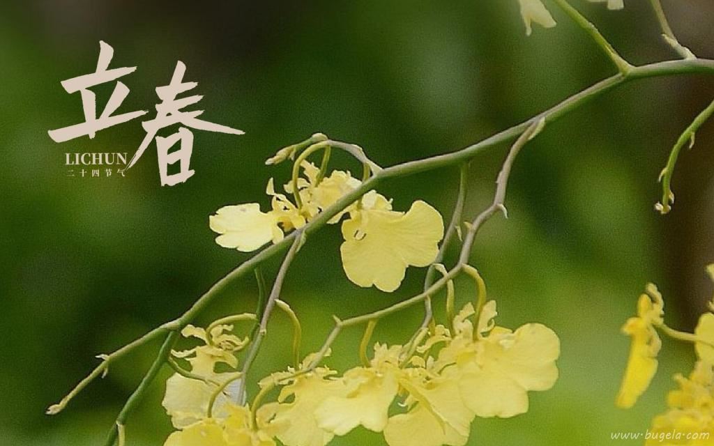立春时节小清新文艺风背景图图片