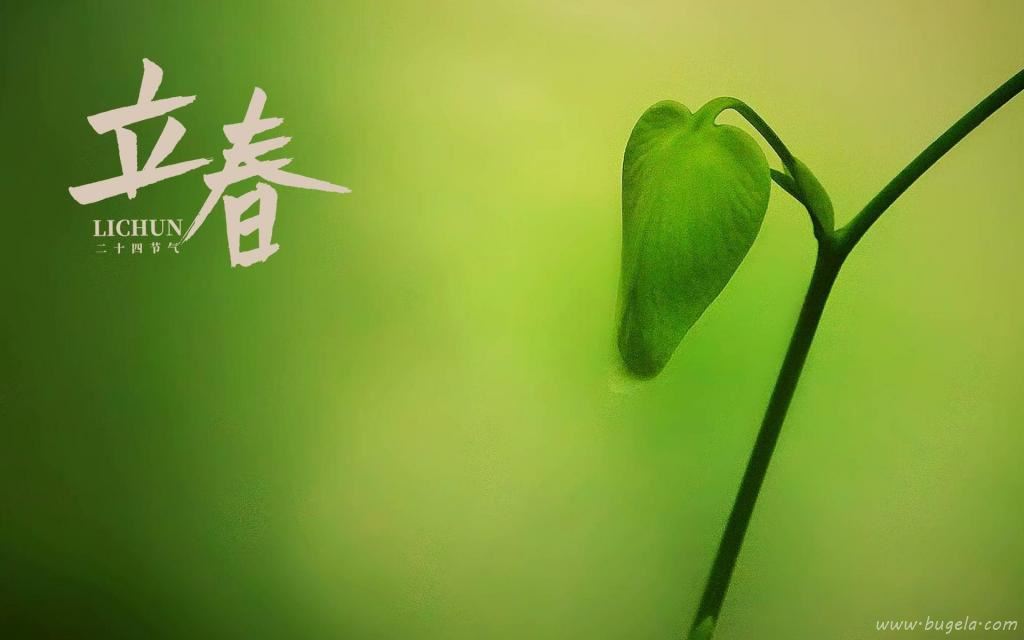 立春时节小清新文艺风背景图图片