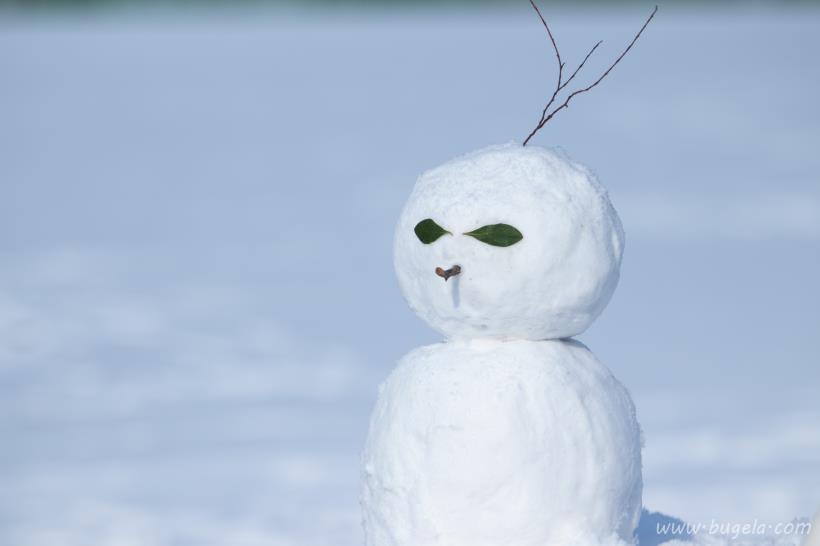 超美冬季雪人图片大全