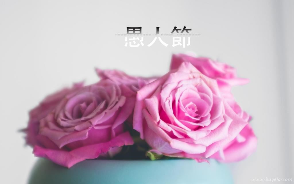 愚人节清新唯美鲜花图片