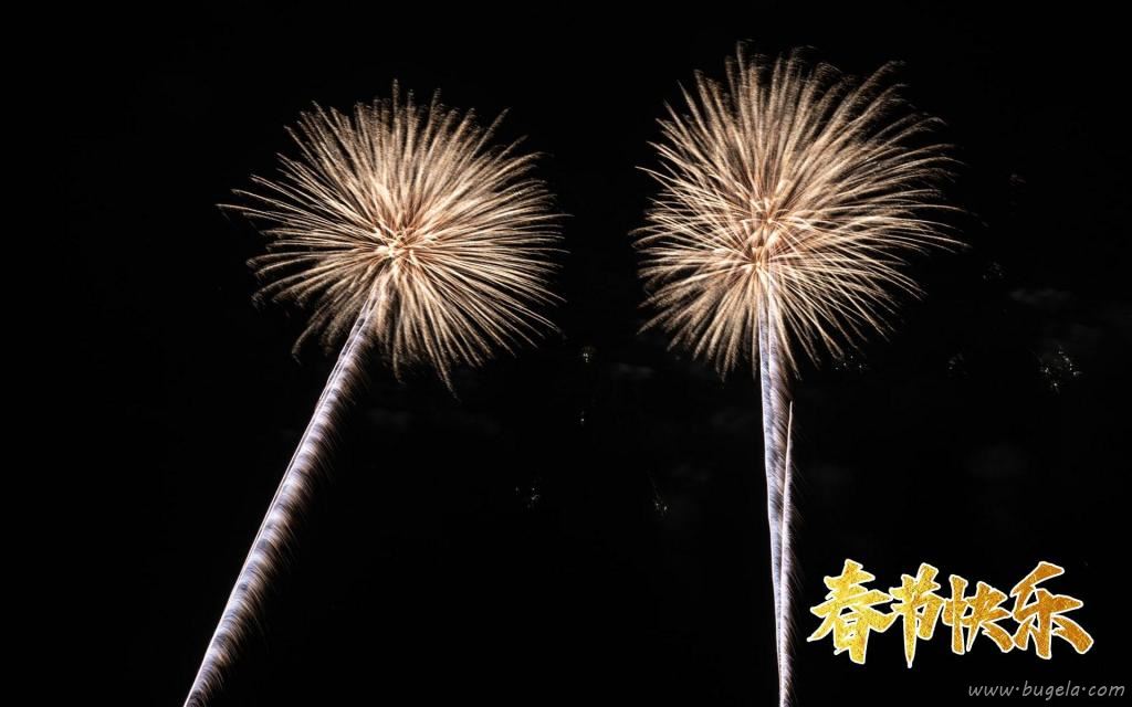正月初一春节快乐灿烂的烟花图片