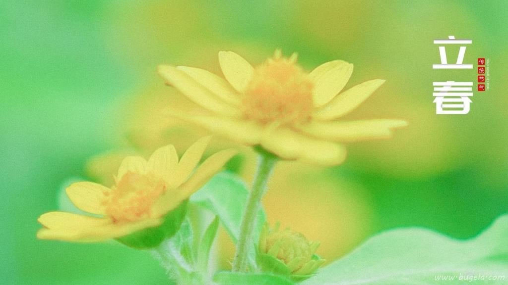 24节气之立春清新唯美风光图片