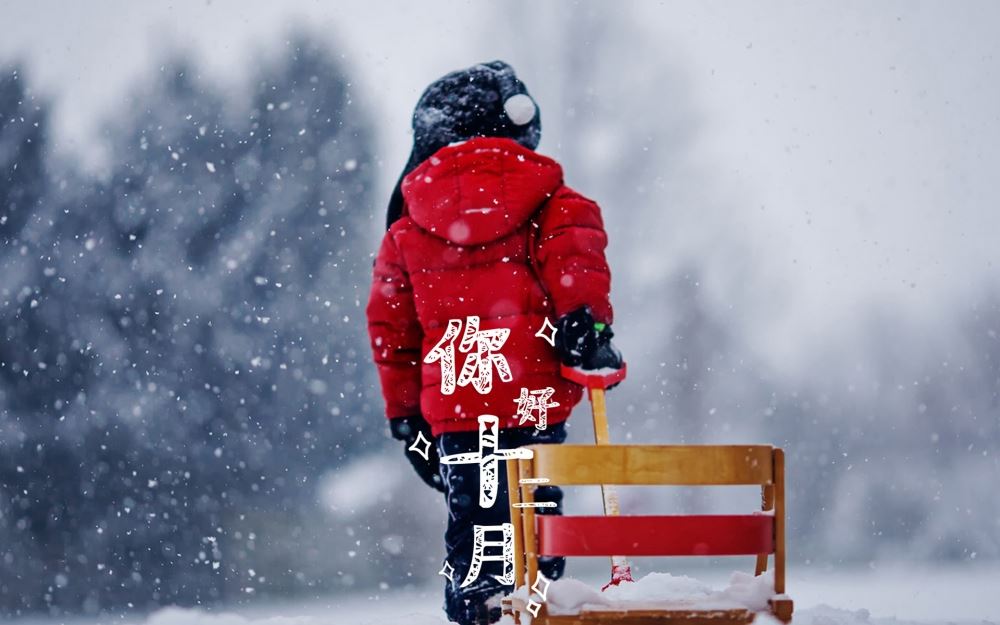 十二月鹅毛大雪美丽的户外大自然风景带文字电脑桌面壁纸图片