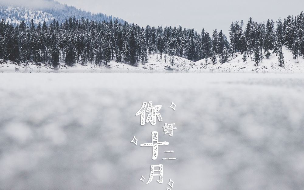 十二月鹅毛大雪美丽的户外大自然风景带文字电脑桌面壁纸图片