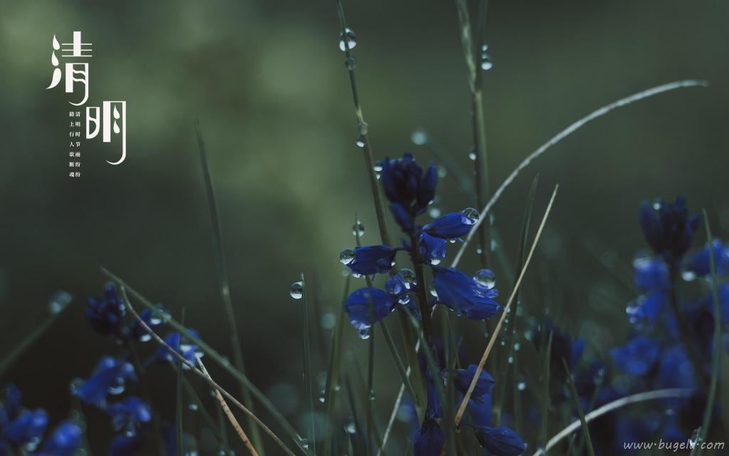 清明时节诗句主题图图片