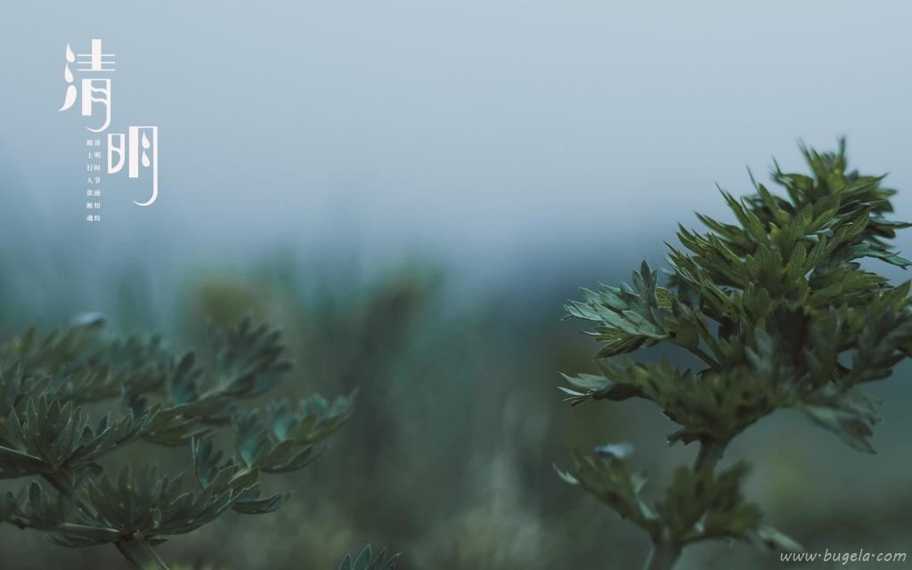 清明时节诗句主题图图片