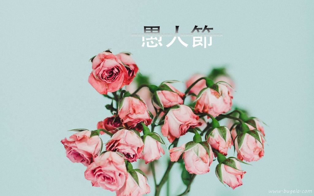 愚人节清新唯美鲜花图片