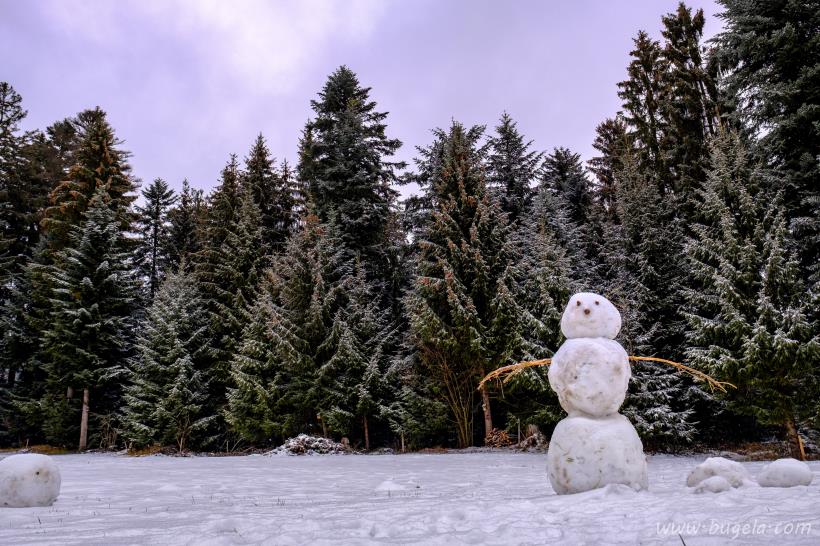 超美冬季雪人图片大全