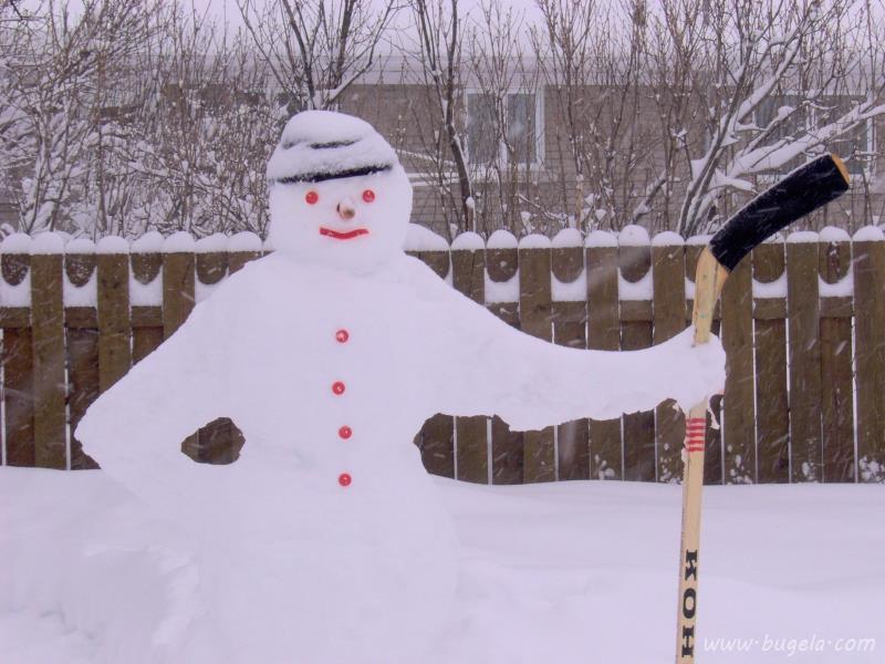 超美冬季雪人图片大全
