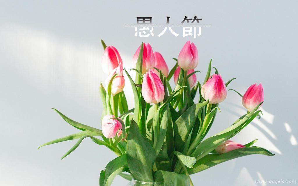 愚人节清新唯美鲜花图片