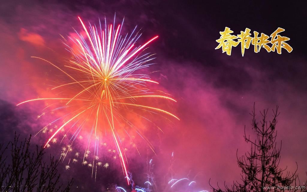 正月初一春节快乐灿烂的烟花图片