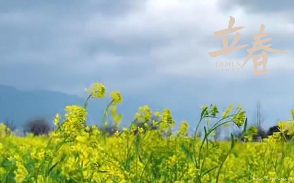 立春时节小清新文艺风背景图图片