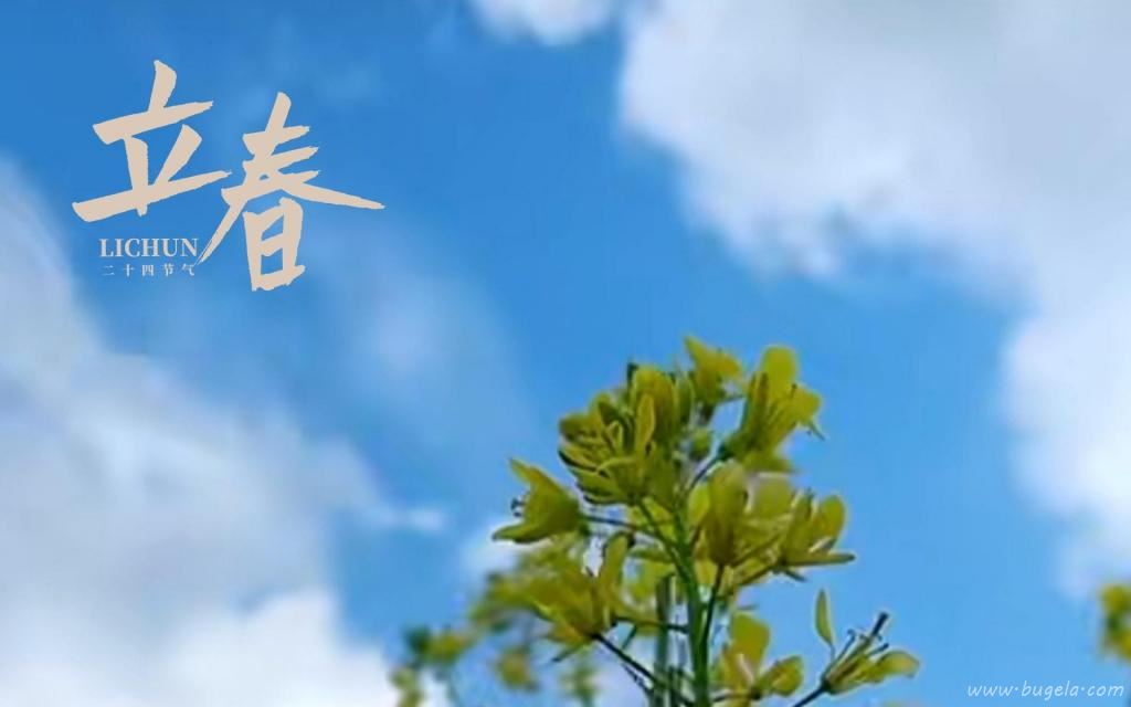 立春时节小清新文艺风背景图图片