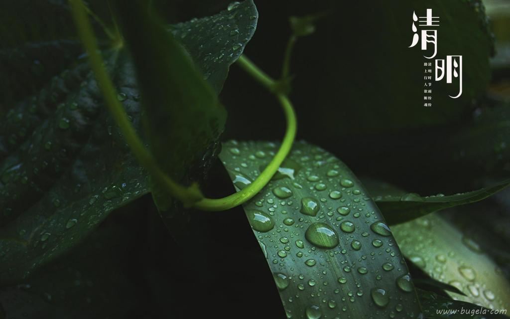 清明时节诗句主题图图片
