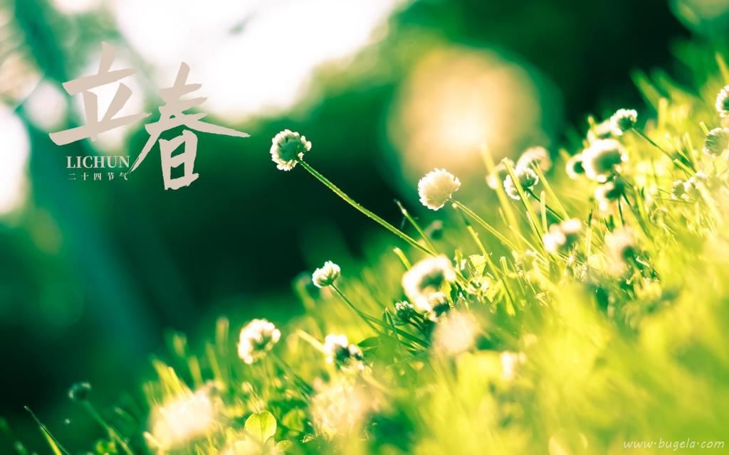 立春时节小清新文艺风背景图图片