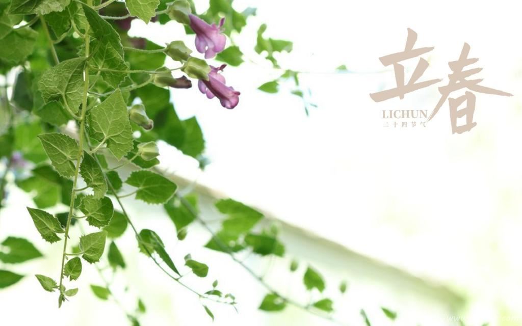 立春时节小清新文艺风背景图图片