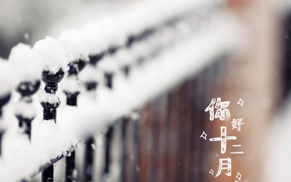 十二月鹅毛大雪美丽的户外大自然风景带文字电脑桌面壁纸图片