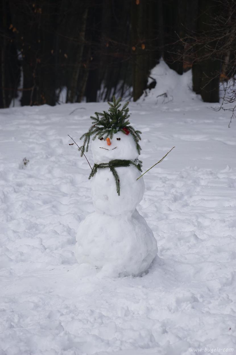 超美冬季雪人图片大全