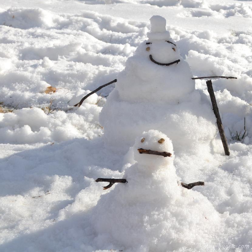 超美冬季雪人图片大全